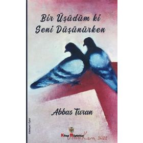 Bir Üşüdüm Ki Seni Düşünürken - Abbas Turan