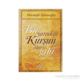 BIR YARADAN KURŞUN ÇIKARIR BIGI SÖYLEŞİLER - MUSTAFA İSLAMOĞLU