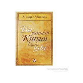 BIR YARADAN KURŞUN ÇIKARIR BIGI SÖYLEŞİLER - MUSTAFA İSLAMOĞLU
