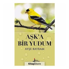 Bir Yudum Aşk - Emir Sinan