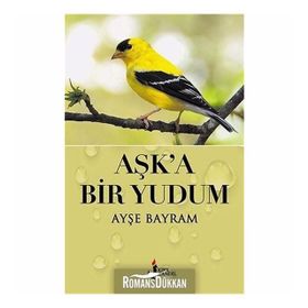Bir Yudum Aşk - Emir Sinan