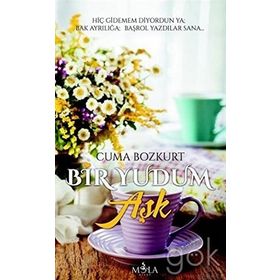 BIR YUDUM İNSAN YOLCULUKLARI 2 BIR YUDUM İNSAN - NEBIL ÖZGENTÜRK