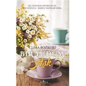 BIR YUDUM İNSAN YOLCULUKLARI 2 BIR YUDUM İNSAN - NEBIL ÖZGENTÜRK