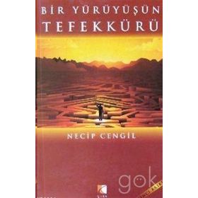 Bir Yürüyüşün Tefekkürü - Necip Cengil