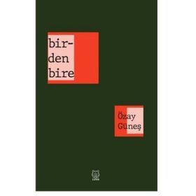 Birdenbire-Luna Yayınları