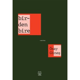 Birdenbire-Luna Yayınları