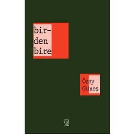 Birdenbire-Luna Yayınları