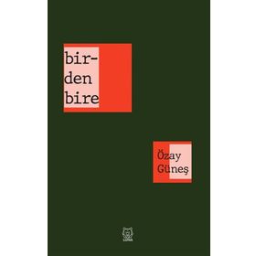 Birdenbire-Luna Yayınları