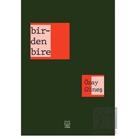 Birdenbire-Luna Yayınları