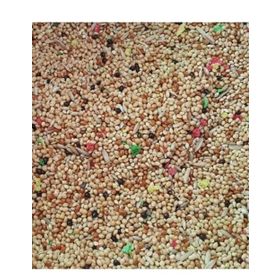 Birdmozz 1 kg Muhabbet Kuşu Yemi