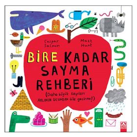 Bire Kadar Sayma Rehberi - Caspar Salmon