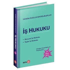 Bireysel Basın İş Hukuku - Haluk Hadi Sümer