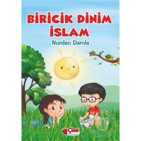 BIRICIK DINIM İSLAM - NURDAN DAMLA