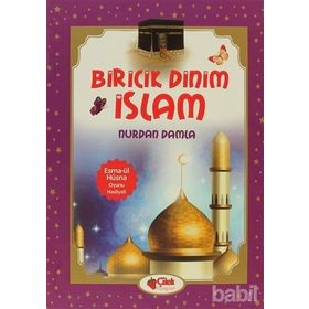 BIRICIK DINIM İSLAM - NURDAN DAMLA