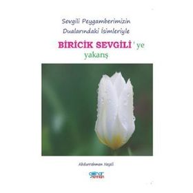 Biricik Sevgili - Abdurrahman Neşeli