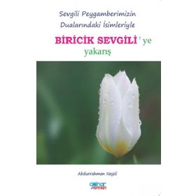Biricik Sevgili - Abdurrahman Neşeli