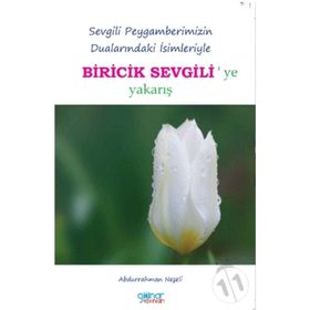 Biricik Sevgili - Abdurrahman Neşeli