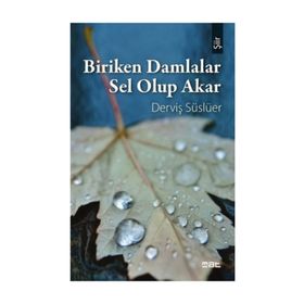 Biriken Damlalar Sel Olup Akar - Derviş Süslüer