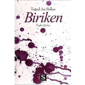 Biriken - Özcan Şengül