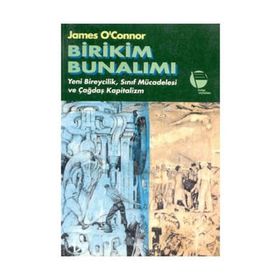 BIRIKIM BUNALIMI - GENEL