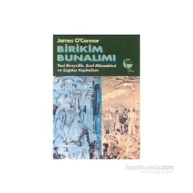 BIRIKIM BUNALIMI - GENEL
