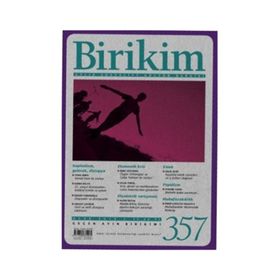 Birikim Dergisi Sayı 357 - Kolektif