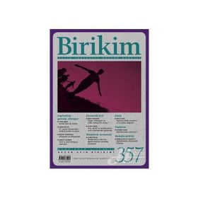 Birikim Dergisi Sayı 357 - Kolektif