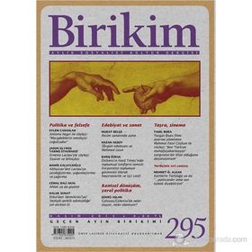 BIRIKIM SAYI 284 - KOLEKTIF