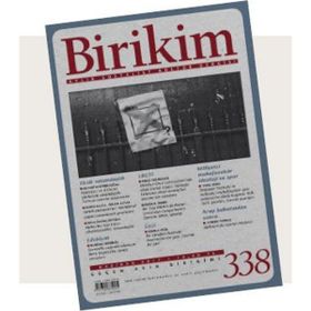BIRIKIM SAYI 284 - KOLEKTIF