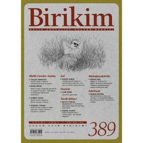 Birikim Sayı 389 Eylül Birikim Dergisi