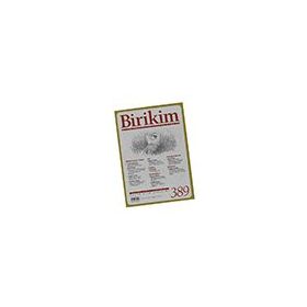 Birikim Sayı 389 Eylül Birikim Dergisi