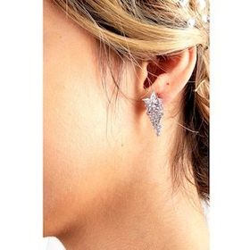 Birinci 925 Ayar Çiçek Modelli Zirkon Taşlı Kadın Gümüş Küpe