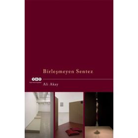 BİRLEŞMEYEN SENTEZ - ALI AKAY