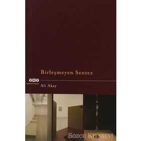 BİRLEŞMEYEN SENTEZ - ALI AKAY