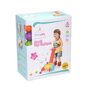 Birlik Toys Babycim Top Toplama Oyunu