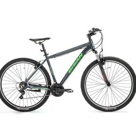 Bisan Atlas 48 cm V 29 Jant 21 Vites Parlak Gri Yeşil Erkek Dağ Bisikleti
