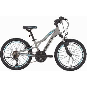 Bisan Buffalo 30 cm V 24 Jant 18 Vites Açık Gri Siyah Mavi Çocuk Bisikleti
