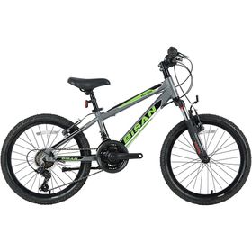 Bisan Kdx 2600 20 Jant 21 Vites Çocuk Bisikleti