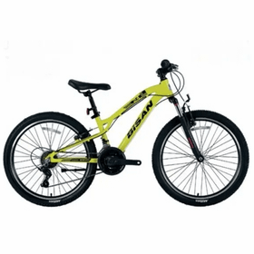 Bisan KDX 2800 24 Jant 5 Fren Dağ Bisikleti
