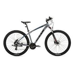 Bisan MTX7300 29 19-48 HD Metalik Gri Mavi Dağ Bisikleti