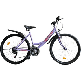 Bisan Sentiero V 24 Jant 21 Vites 44 cm Mor Beyaz Kadın Dağ Bisikleti