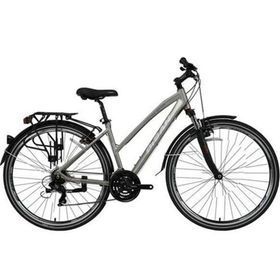 Bisan TRX 8200 City 28 21 Vites Metalik Gri Kadın Şehir Bisikleti