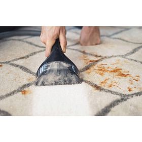 Bissell 1558N SpotClean Pro Halı ve Koltuk Yıkama Makinesi
