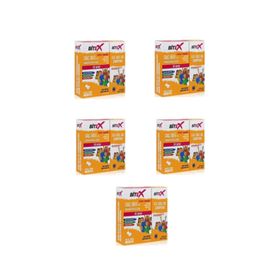 Bitex 5x150 ml Bit Şampuanı + 5x100 ml Bit Spreyi + 5 Adet Metal Tarak