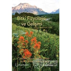 Bitki Fizyolojisi ve Gelişimi