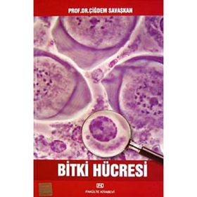 BITKI HÜCRESİ - ÇİĞDEM SAVAŞKAN