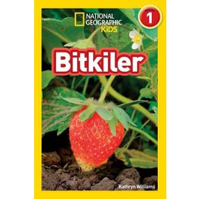 BITKILER - FLEUR STAR
