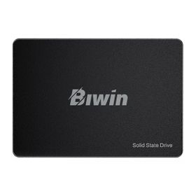 Biwin M100 SATA 3.0 2.5 inç 256 GB SSD