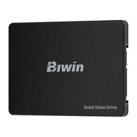 Biwin M100 SATA 3.0 2.5 inç 256 GB SSD