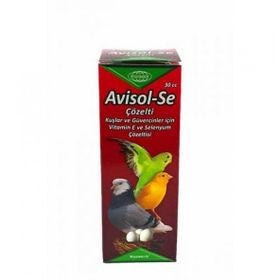 Biyoteknik 30 cc Avisol - B Kuşlar için Vitamin Çözeltisi